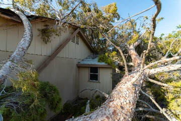 Large tree fell on a house.