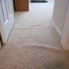 Hallway with loose beige carpeting