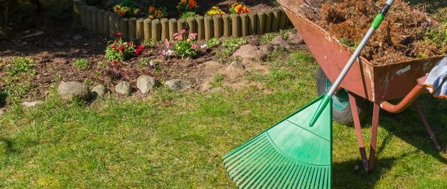 Green rake set on the red wheelbarrow next to an in-ground flower bed with colorful flowers blooming.