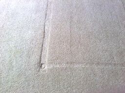 Gray carpet with a deep square furniture indentation.